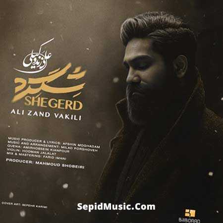 دانلود آهنگ شگرد علی زند وکیلی دانلود آهنگ شگرد علی زند وکیلی
