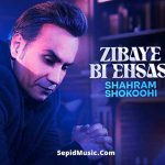دانلود آهنگ زیبای بی احساس شهرام شکوهی دانلود آهنگ زیبای بی احساس شهرام شکوهی