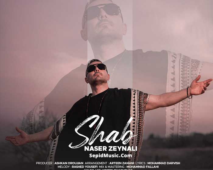 دانلود آهنگ شب ناصر زینعلی