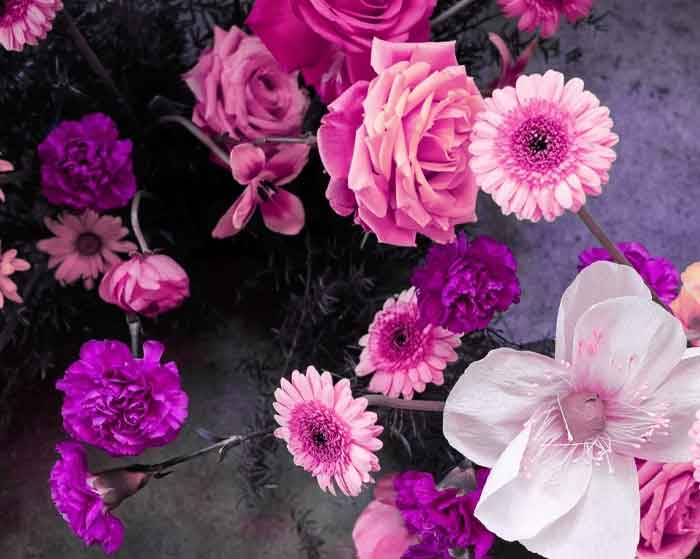 دانلود آهنگ تو یکی بخوای نخوای جون منی دانلود آهنگ تو یکی بخوای نخوای جون منی