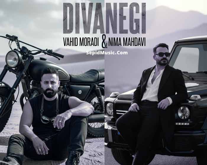 دانلود آهنگ دیوانگی وحید مرادی