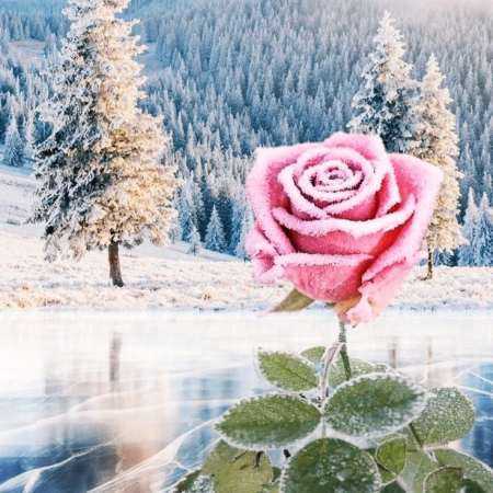 دانلود آهنگ اگه بری نفرین می کنم هایده دانلود آهنگ اگه بری نفرین می کنم هایده