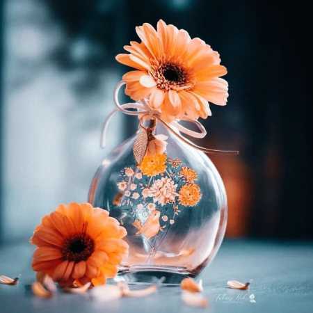 دانلود آهنگ آزاده هایده دانلود آهنگ آزاده هایده
