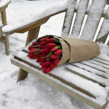 دانلود آهنگ در بهار زندگی هایده دانلود آهنگ در بهار زندگی هایده