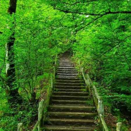 دانلود آهنگ دلای عاشق هایده