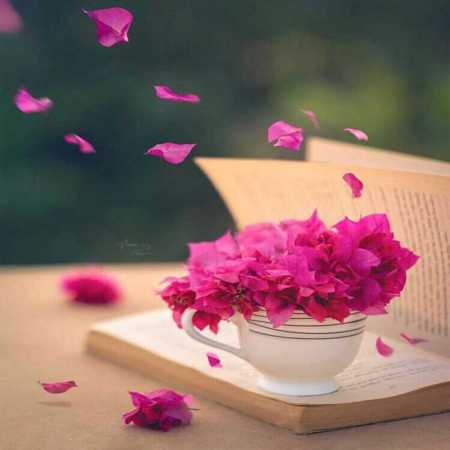 دانلود آهنگ دل دیوونه هایده