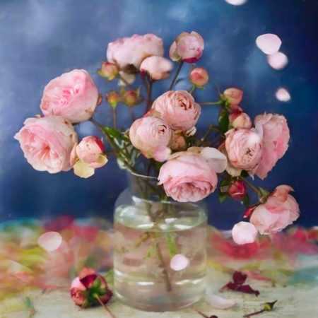 دانلود آهنگ ای یار من هایده دانلود آهنگ ای یار من هایده