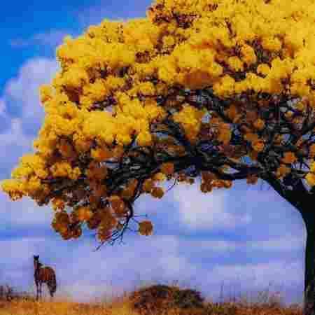 دانلود آهنگ ای زندگی سلام هایده دانلود آهنگ ای زندگی سلام هایده