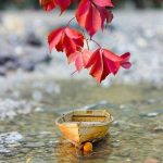 دانلود آهنگ هم نفس هایده