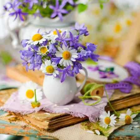 دانلود آهنگ همخونه هایده دانلود آهنگ همخونه هایده