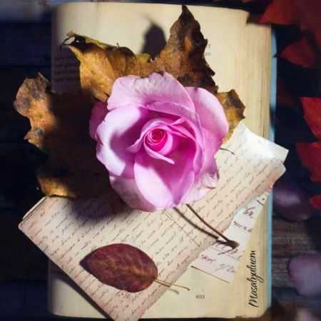 دانلود آهنگ مهمان هایده دانلود آهنگ مهمان هایده