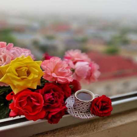 دانلود آهنگ تاریخ عشق هایده دانلود آهنگ تاریخ عشق هایده