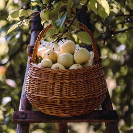 دانلود آهنگ تو نگاه کن هایده