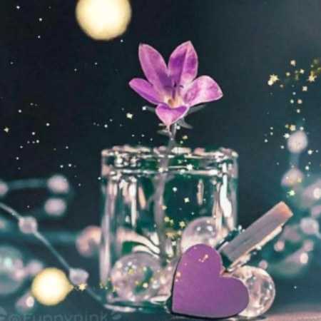 دانلود آهنگ وفای دل هایده دانلود آهنگ وفای دل هایده