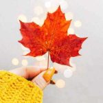 دانلود آهنگ وای به حالش هایده