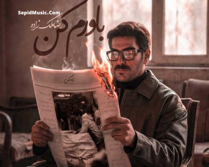 دانلود آهنگ باورم کن رضا ملک زاده