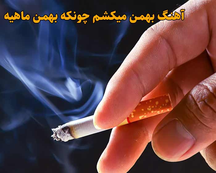 دانلود آهنگ بهمن میکشم چونکه بهمن ماهیه دانلود آهنگ بهمن میکشم چونکه بهمن ماهیه
