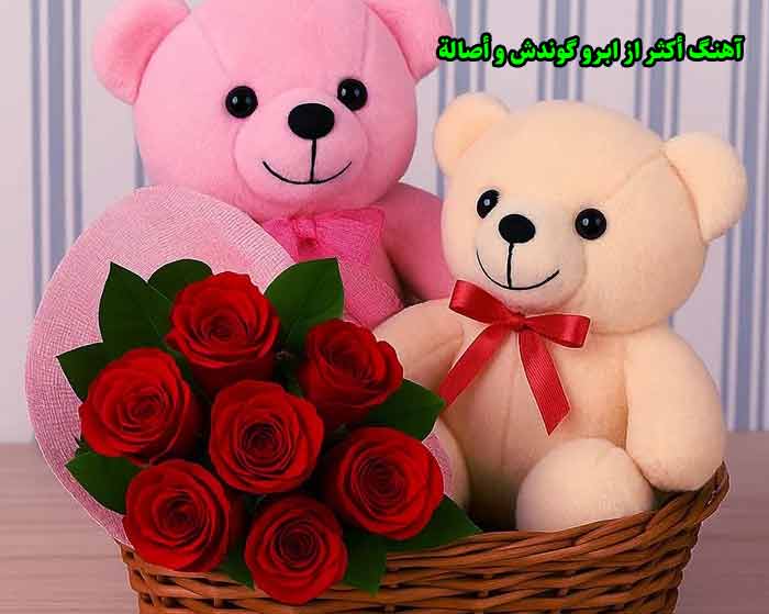 دانلود آهنگ أكثر ابرو گوندش و أصالة دانلود آهنگ أكثر ابرو گوندش و أصالة
