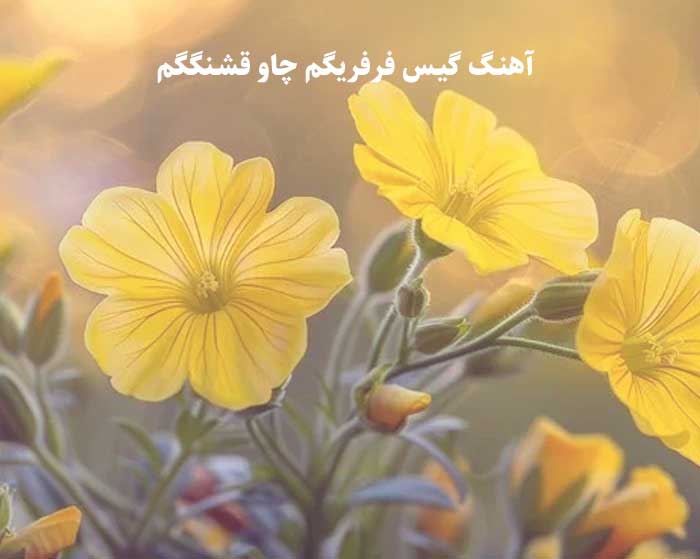 دانلود آهنگ گیس فرفریگم چاو قشنگگم دانلود آهنگ گیس فرفریگم چاو قشنگگم