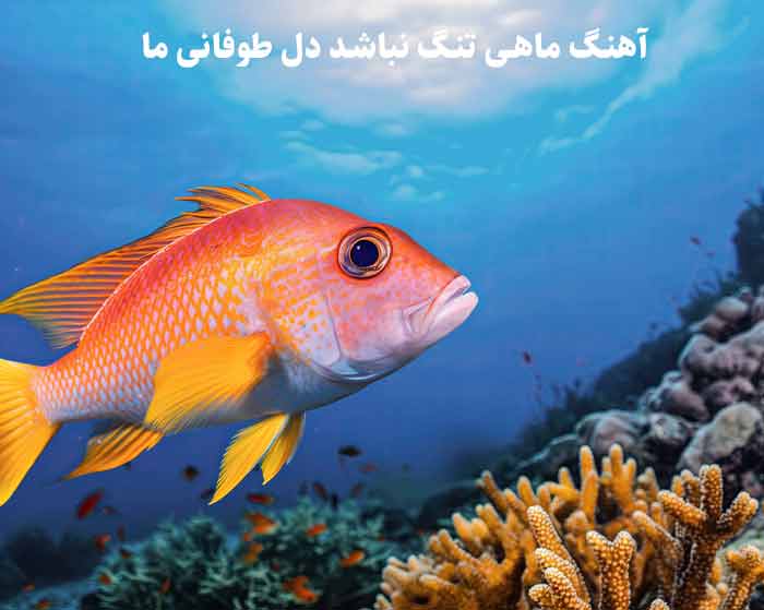 دانلود آهنگ ماهی تنگ نباشد دل طوفانی ما مفرح دانلود آهنگ ماهی تنگ نباشد دل طوفانی ما مفرح