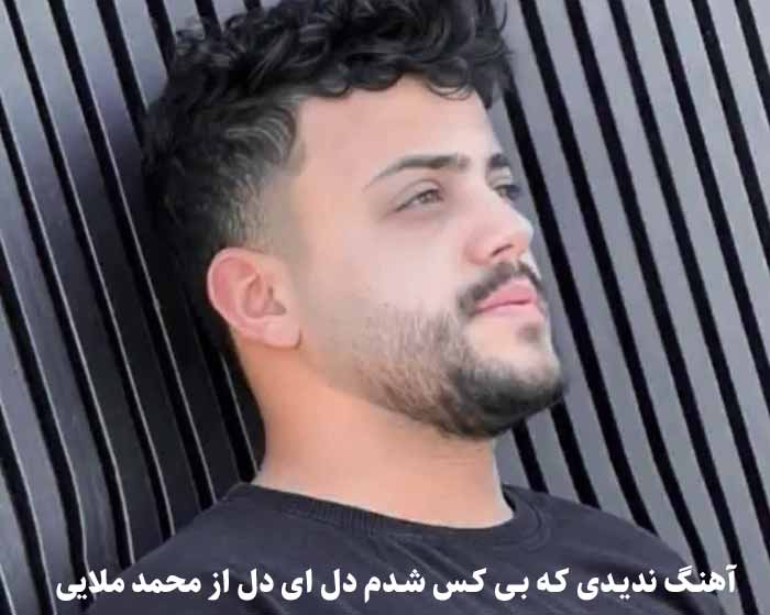 دانلود آهنگ ندیدی که بی کس شدم دل ای دل محمد ملایی دانلود آهنگ ندیدی که بی کس شدم دل ای دل محمد ملایی