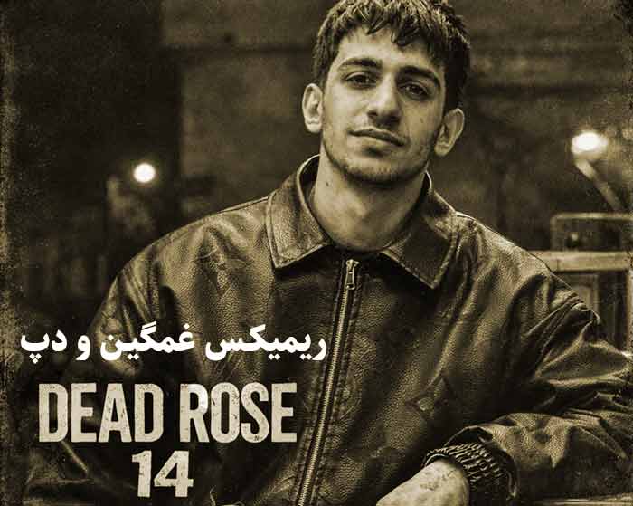 دانلود ریمیکس رز مرده 14 از ناجی و خجسته و ویناک دانلود ریمیکس رز مرده 14 از ناجی و خجسته و ویناک