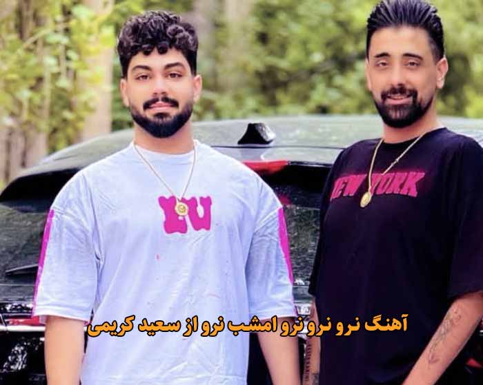 دانلود آهنگ نرو نرو نرو امشب نرو سعید کریمی دانلود آهنگ نرو نرو نرو امشب نرو سعید کریمی
