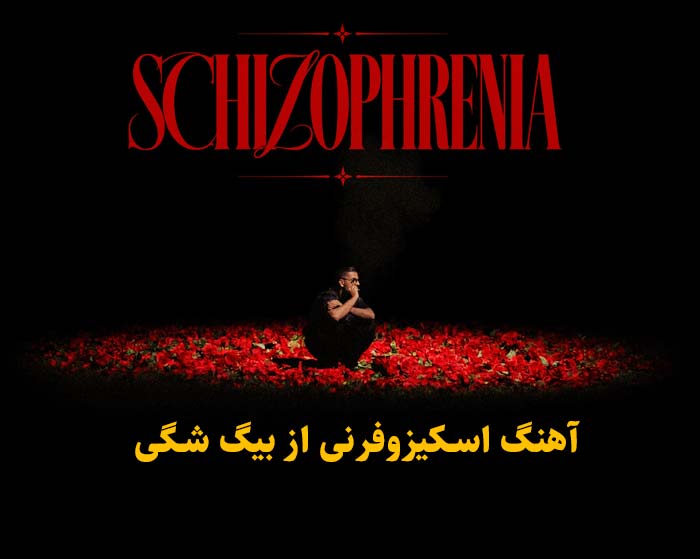 دانلود آهنگ اسکیزوفرنی بیگ شگی