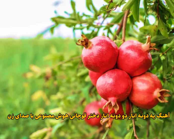 دانلود آهنگ یه دونه انار دو دونه انار دختر قوچانی هوش مصنوعی با صدای زن