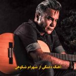 دانلود آهنگ دلتنگی شهرام شکوهی / دلتنگی داره داره داره این قلب بیچاره آره آره دانلود آهنگ دلتنگی شهرام شکوهی / دلتنگی داره داره داره این قلب بیچاره آره آره