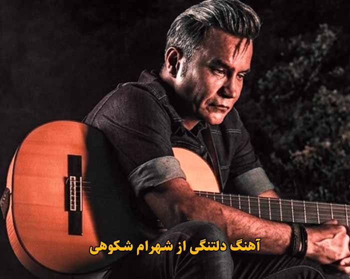 دانلود آهنگ دلتنگی شهرام شکوهی دانلود آهنگ دلتنگی شهرام شکوهی