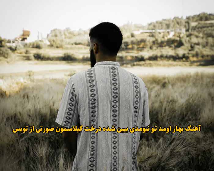 دانلود آهنگ بهار اومد تو نیومدی ببین شده درخت گیلاسمون صورتی تویس دانلود آهنگ بهار اومد تو نیومدی ببین شده درخت گیلاسمون صورتی تویس