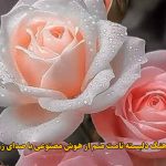 دانلود آهنگ دلبسته نامت منم هوش مصنوعی با صدای زن دانلود آهنگ دلبسته نامت منم هوش مصنوعی با صدای زن
