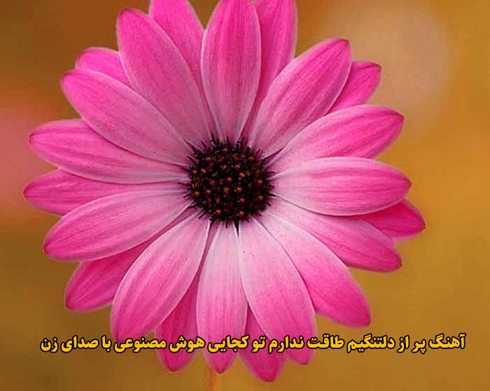 دانلود آهنگ پر از دلتنگیم طاقت ندارم تو کجایی هوش مصنوعی با صدای زن دانلود آهنگ پر از دلتنگیم طاقت ندارم تو کجایی هوش مصنوعی با صدای زن