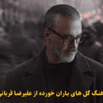 دانلود آهنگ گل های باران خورده علیرضا قربانی دانلود آهنگ گل های باران خورده علیرضا قربانی