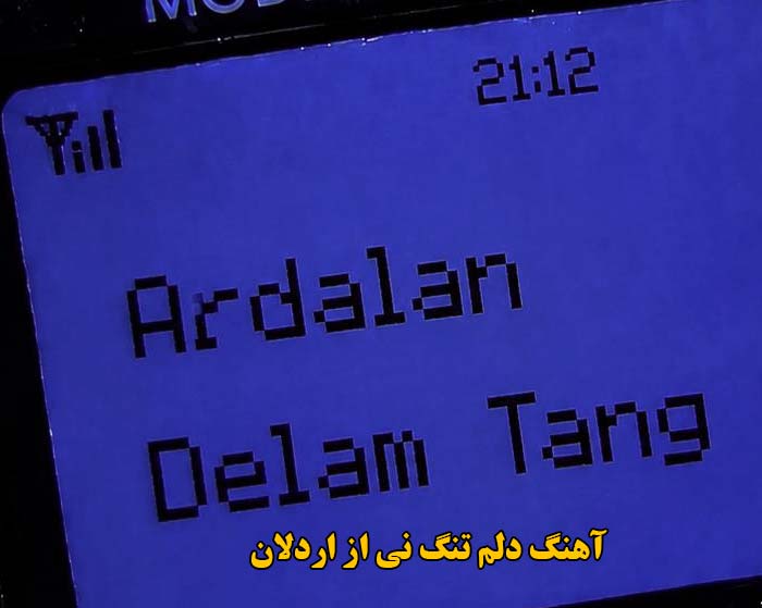 دانلود آهنگ دلم تنگ نی اردلان دانلود آهنگ دلم تنگ نی اردلان