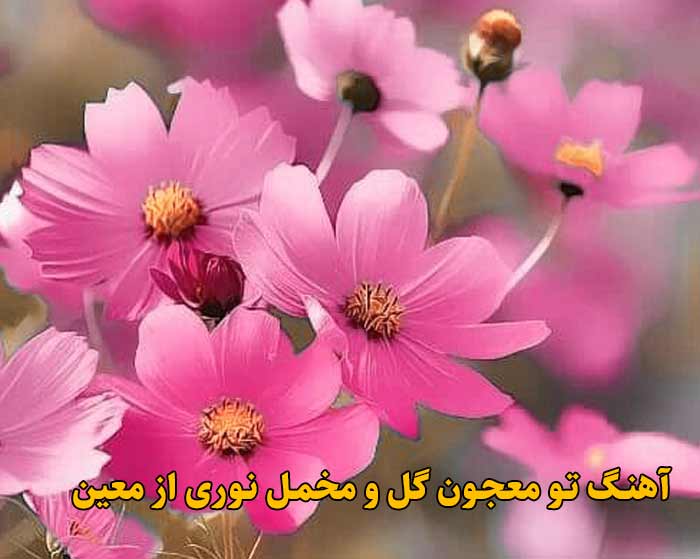 دانلود آهنگ تو معجون گل و مخمل نوری معین