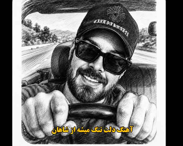 دانلود آهنگ دلت تنگ میشه شاهان
