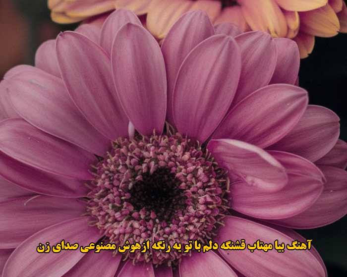 دانلود آهنگ بیا مهتاب قشنگه دلم با تو یه رنگه هوش مصنوعی صدای زن دانلود آهنگ بیا مهتاب قشنگه دلم با تو یه رنگه هوش مصنوعی صدای زن