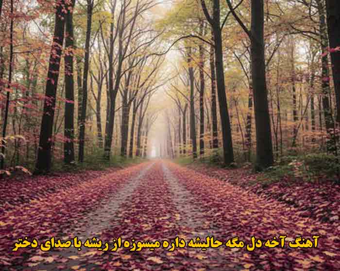 دانلود آهنگ آخه دل مگه حالیشه داره میسوزه از ریشه با صدای دختر دانلود آهنگ آخه دل مگه حالیشه داره میسوزه از ریشه با صدای دختر