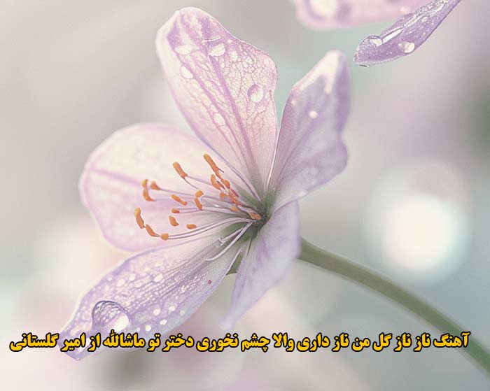 دانلود آهنگ ناز ناز گل من ناز داری والا چشم نخوری دختر تو ماشالله امیر گلستانی دانلود آهنگ ناز ناز گل من ناز داری والا چشم نخوری دختر تو ماشالله امیر گلستانی