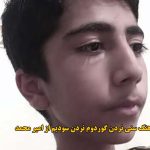 دانلود آهنگ سنی نردن گوردوم نردن سودیم امیر محمد ترند اینستا