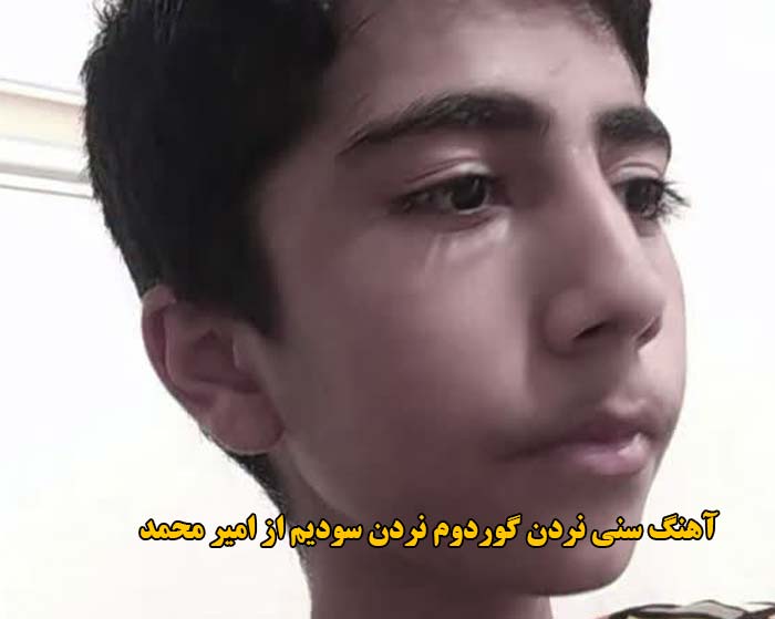 دانلود آهنگ سنی نردن گوردوم نردن سودیم امیر محمد