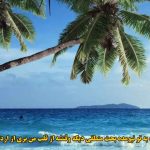 دانلود آهنگ به تو نیومده بحث منطقی دیگه وقتشه از قلب من بری اردلان