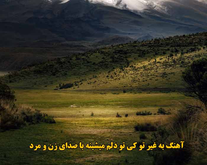 دانلود آهنگ به غیر تو کی تو دلم میشینه با صدای زن و مرد