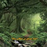 دانلود آهنگ چشمای من جنگلای شماله