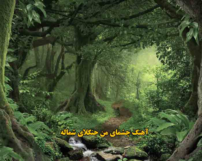 دانلود آهنگ چشمای من جنگلای شماله دانلود آهنگ چشمای من جنگلای شماله