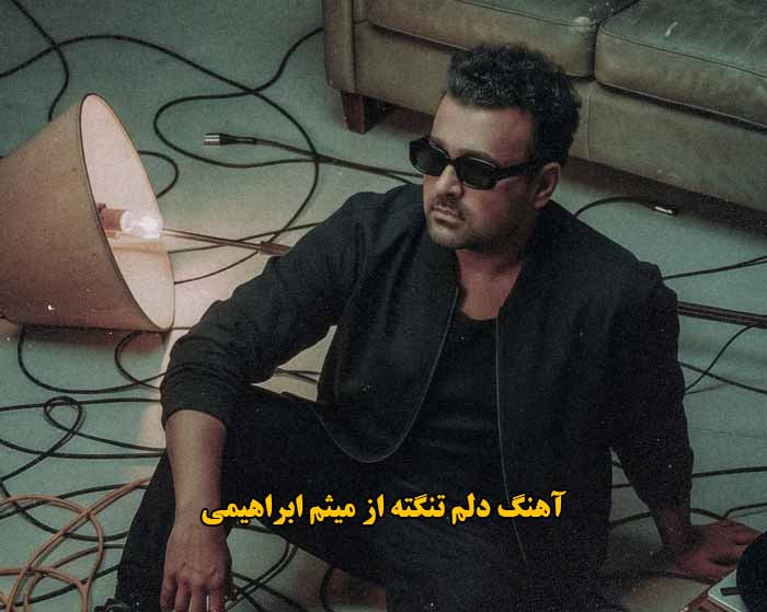 دانلود آهنگ دلم تنگته میثم ابراهیمی دانلود آهنگ دلم تنگته میثم ابراهیمی