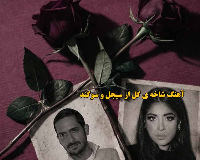 دانلود آهنگ شاخه ی گل سیجل و سوگند