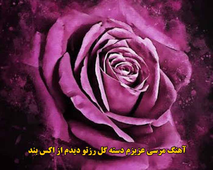 دانلود آهنگ مرسی عزیزم دسته گل رزتو دیدم اکس بند دانلود آهنگ مرسی عزیزم دسته گل رزتو دیدم اکس بند